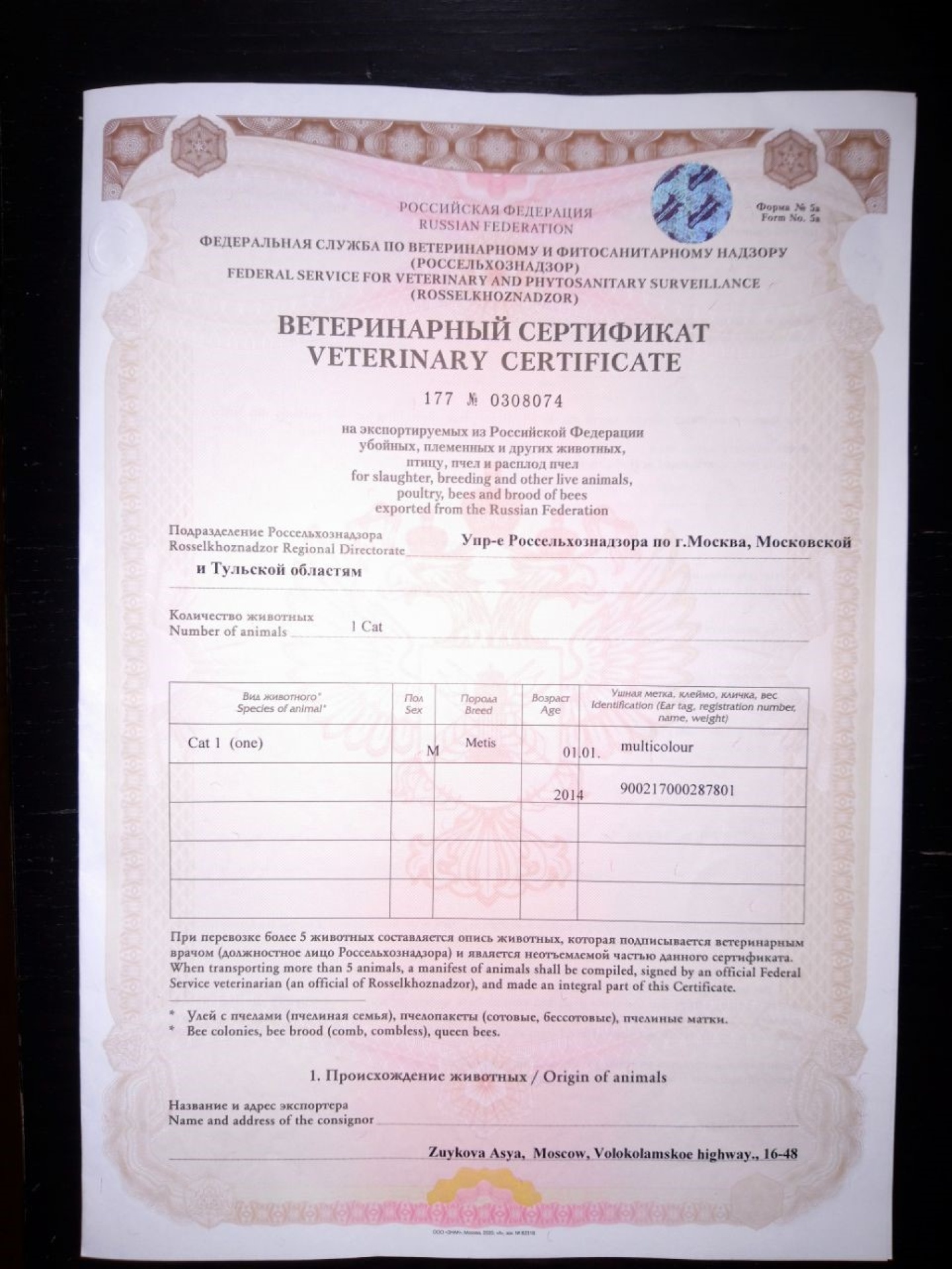 Первая страница международного ветеринарного сертификата